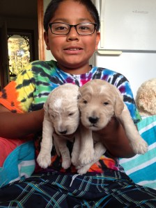 Blue on the left and Dark Green on the Right