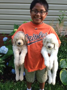 They are getting so big!