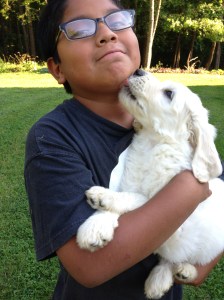 Puppy kisses from Light Green.