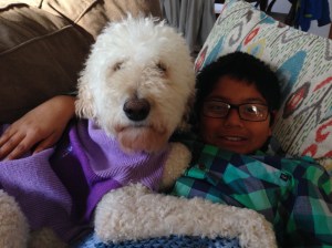 Reef got a new sweater for Valentine's Day. She LOVES it!